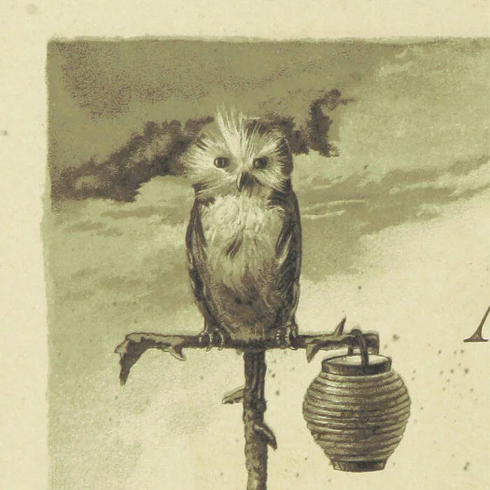 Braken album cover featuring an drawing of an owl